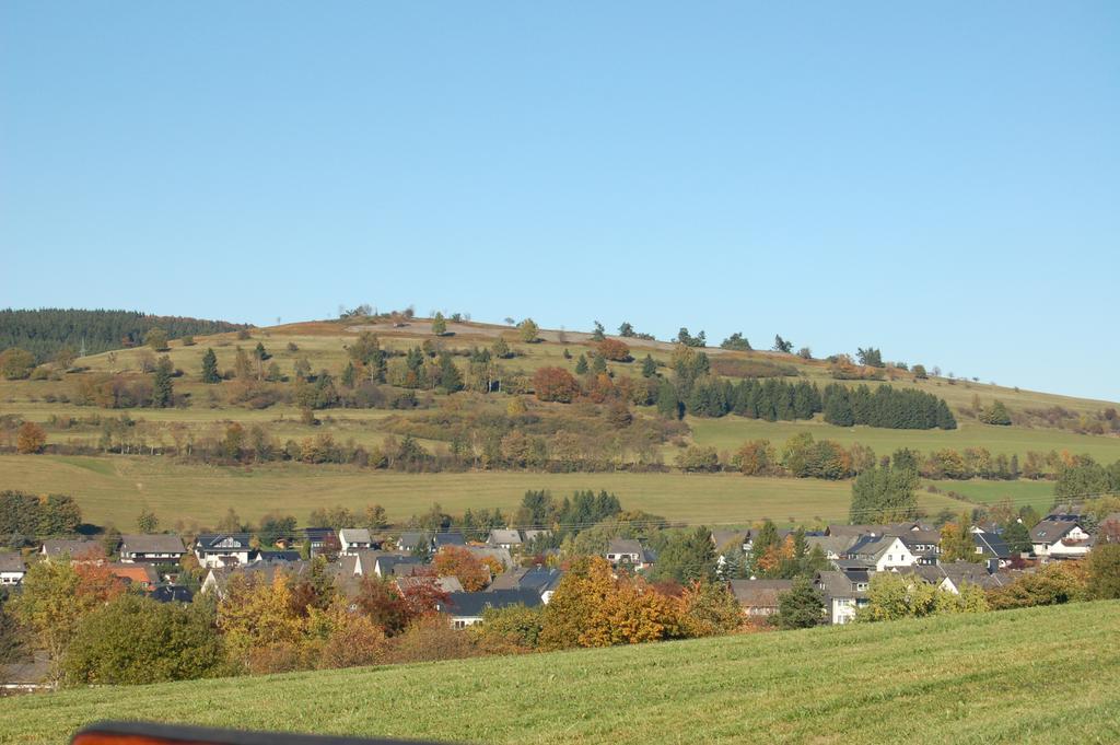 Ferienwohnungen Westfalenhof Willingen  Ngoại thất bức ảnh