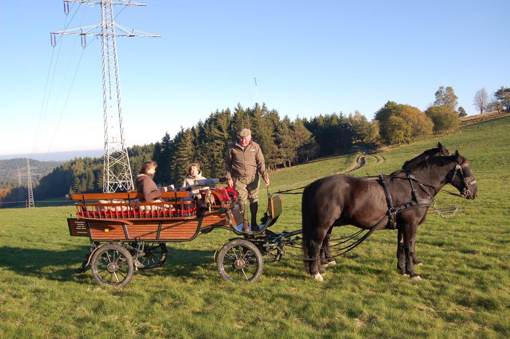 Ferienwohnungen Westfalenhof Willingen  Ngoại thất bức ảnh