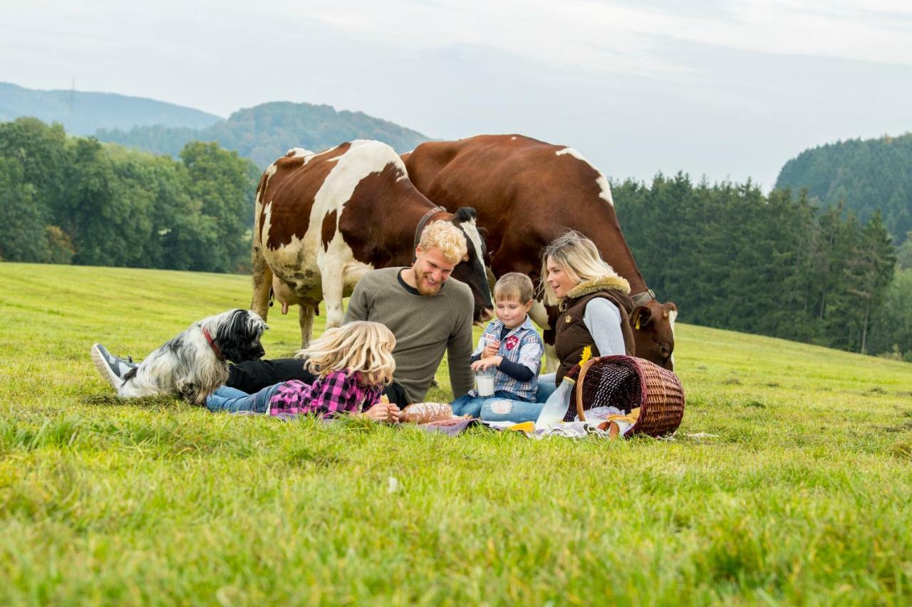 Ferienwohnungen Westfalenhof Willingen  Ngoại thất bức ảnh